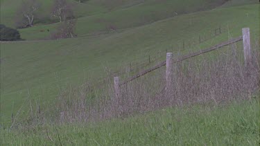 green countryside rolling hills fence