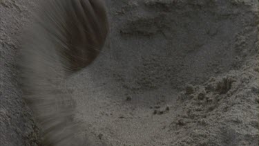 flipper fanning sand onto back