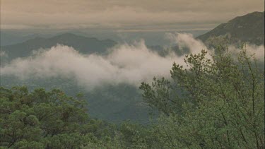 white cloud over valley, green trees in foreground