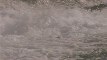 detail of rapids, water rushing