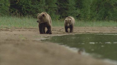 two young adults walking towards camera. One flops into the river for a quick bath, stretching and cleaning. Then jumps out and continues the march along the river bank