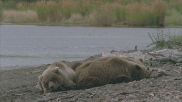 family group resting on river bank shore.