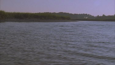 wide river estuary, bottle nosed dolphin swimming in distance