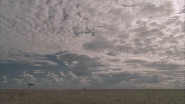 African savannah clouds storm approaching