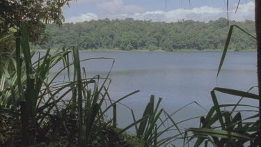 pan across Lake Eacham through pandanas plants