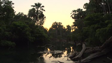 River with deadwood at dusk