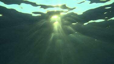 Sunlight seen just below the ocean surface