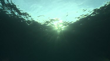 Sunlight just below the ocean surface