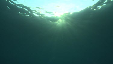 Sunlight just below the ocean surface