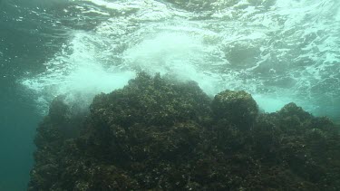 Waves on coral at the ocean surface