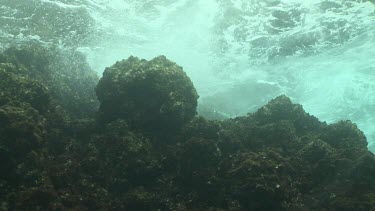 Waves on coral at the ocean surface