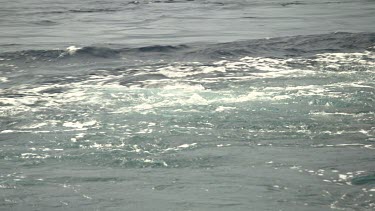 Fast ocean current seen from shore