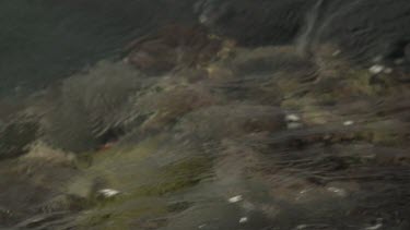 Fast ocean current in shallow water by the shore