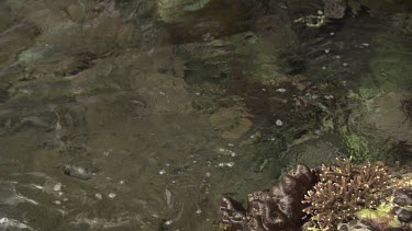 Fast ocean current in shallow water by the shore