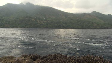 Island and the ocean