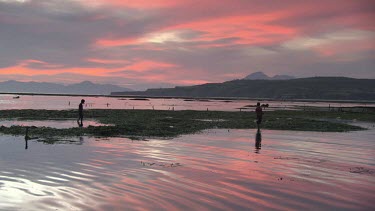 Villagers on a low tide reef at sunset