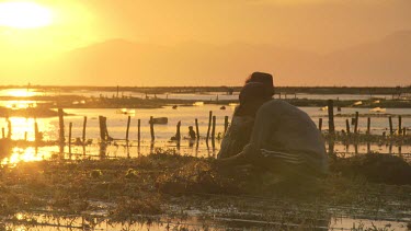 Villagers collecting Agar in low tide fields at sunset