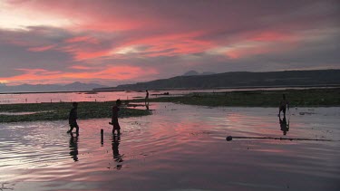 Villagers collecting Agar in low tide fields at sunset