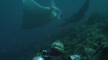 Scuba diver swimming up close with a pair of Manta Rays