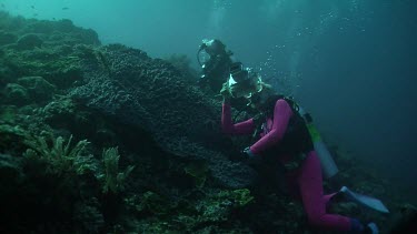 Pair of scuba divers taking photos on a reef