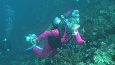 Scuba diver in a pink wetsuit swimming along a reef