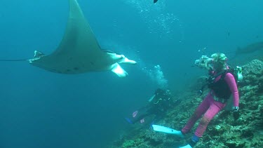 Scuba diver photographing a Manta Ray as it swims over a reef