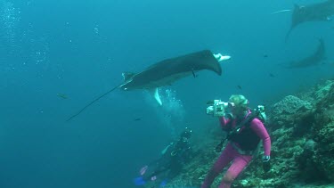 Scuba diver photographing Manta Rays as they swim over a reef