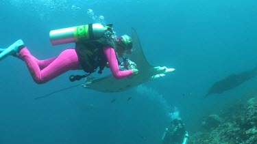 Scuba diver swimming with Manta Rays along a reef