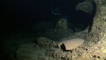 Turtle skeleton and graveyard in an underwater cave