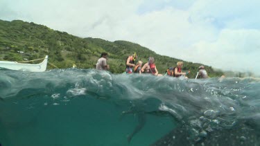 Whale Shark feeding below a rowboat