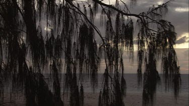 Boat off the coast of Heron Island at sunset