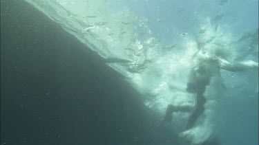 Diver entering ocean.