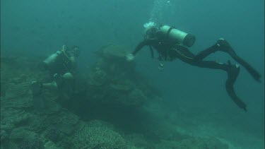 Two Divers swimming along the coral reef.