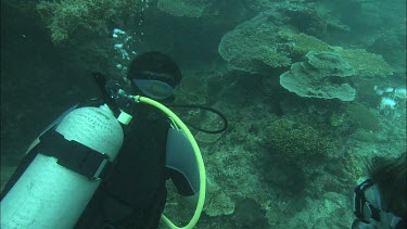 Two Divers observing and swimming along the coral reef.