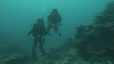 Two Divers studying the coral reef.