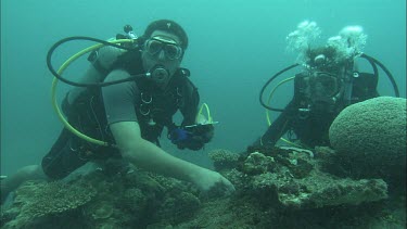 Two Divers studying the coral reef.