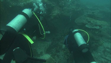 Two Divers looking at coral reef