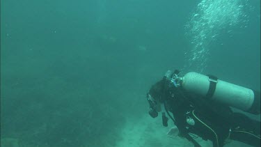 Diver swimming along the coral reef