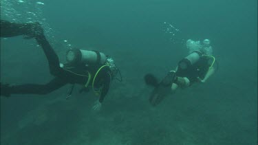 Two Divers swimming along the coral reef.