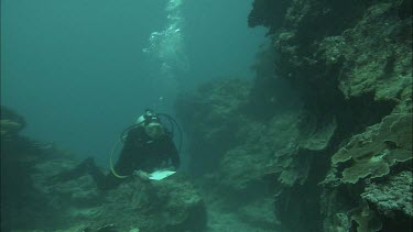 Diver does checking of corals  and making notes underwater