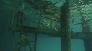 Two teen girls dive from the warf that goes directly into the ocean