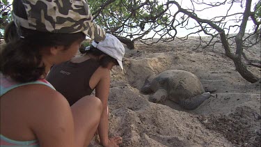 Two girls sit next to a green turtle. Green turtle digs a pit for laying its eggs.