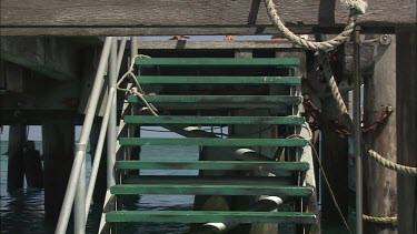 Two girls waking down the stairs, Girls out on paddles and masks