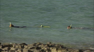 Girl and boy are doing snorkeling.