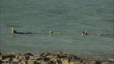 Girl and boy are doing snorkeling.