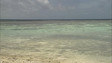 Low tides. Ocean.