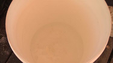 Student researcher hand placing the sea slug in the bucket