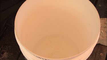 Student researcher hand placing the sea slug in the bucket