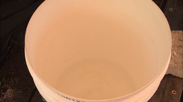 Student researcher hand placing the sea slug in the bucket