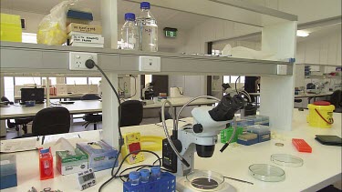 Student researcher entering the lab, places bucket down, picks up sea slug and places it on petri dish